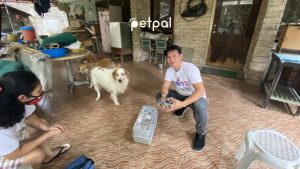 17Ventures’ PetPal Targets US$1.6 Billion Pet Care Market In SEA – Expands Access To Essential Pet Care For Filipinos